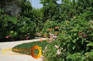 شركة تنسيق حدائق بجدة