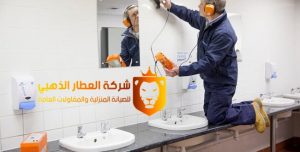 شركات كشف التسربات