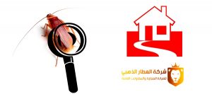 شركة مكافحة حشرات