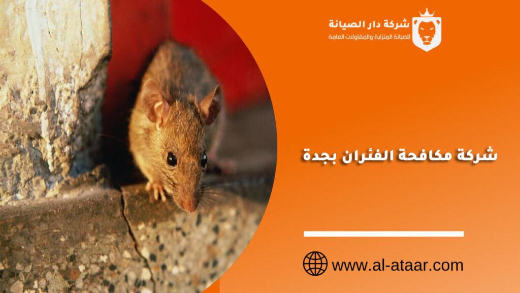شركة مكافحة الفئران بجدة